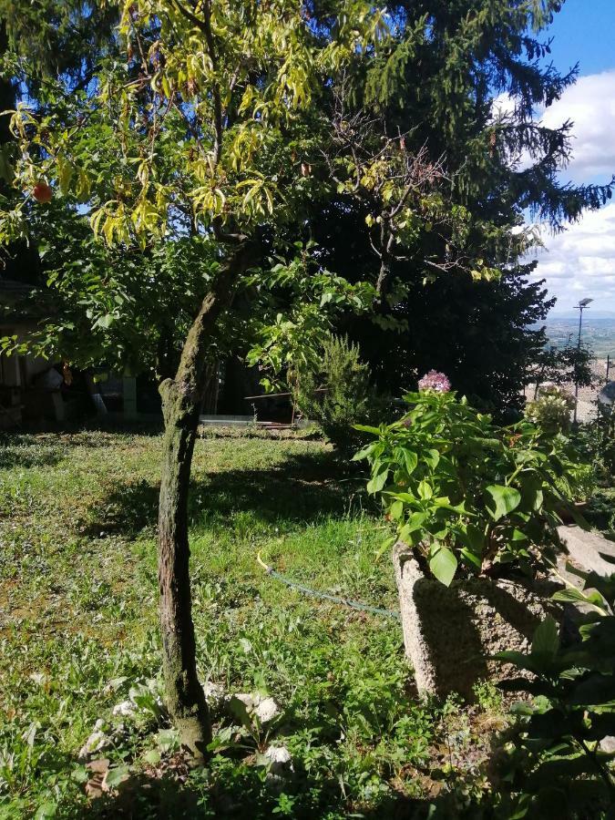 Orto Di Emma Apartment San Gimignano Exterior foto
